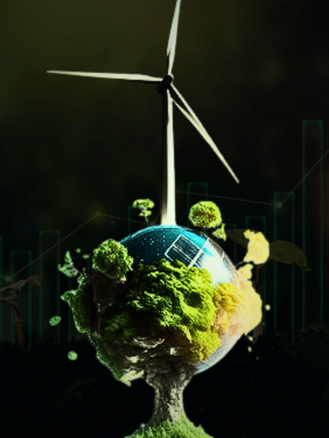 Will renewable energy stocks rise in 2025?