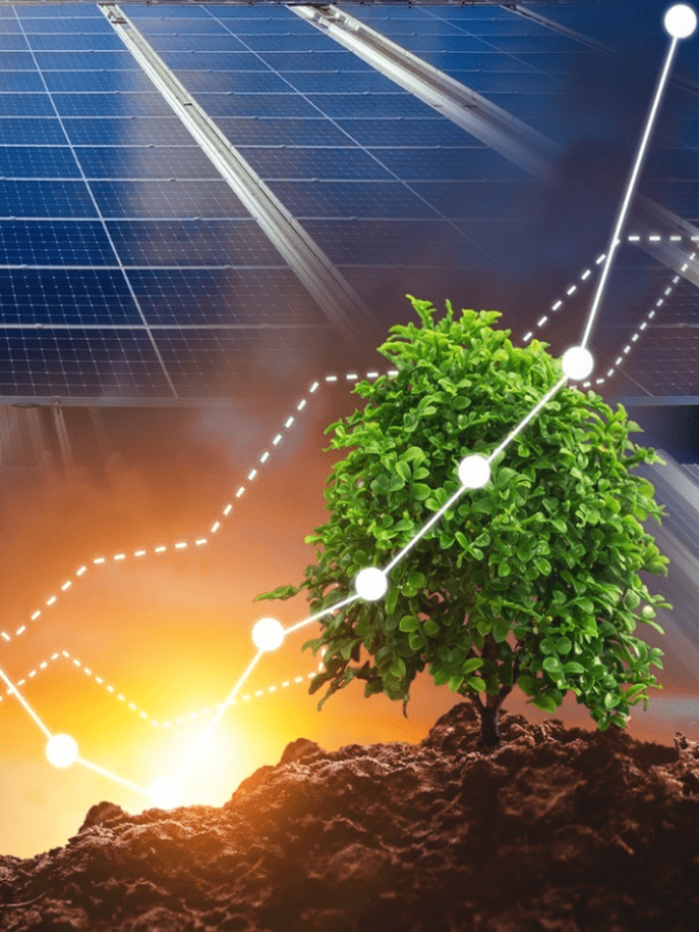 What are the risks of investing in solar energy stocks in 2025?