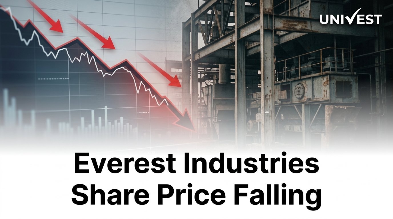 Why Is Everest Industries Share Price Falling